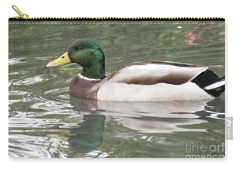 Mallard Zip Pouch featuring the photograph Superb Reflection by Kim Tran