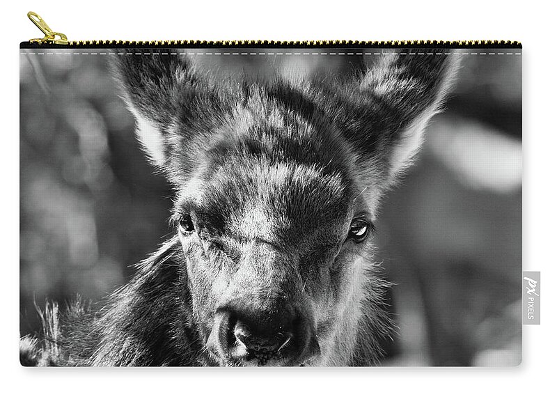 Animal Zip Pouch featuring the photograph Surprise, Black and White by Adam Morsa