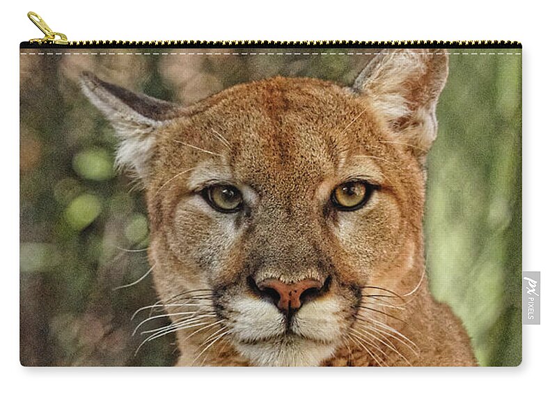 Cougar Zip Pouch featuring the photograph Surveying His Kingdom by Jo Ann Gregg