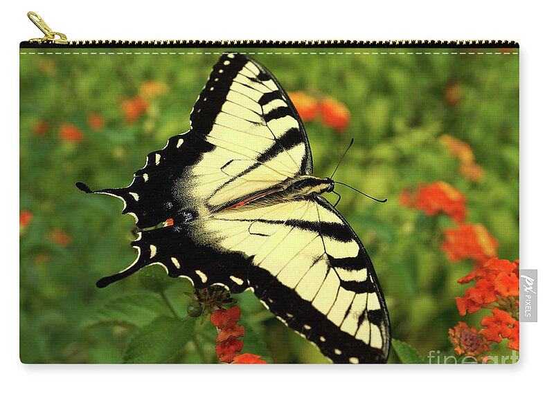 Swallowtail Zip Pouch featuring the photograph Swallowtail Among Lantana by Sue Melvin