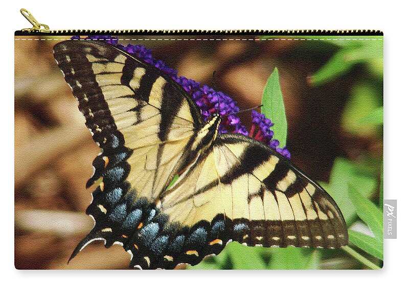Swallowtail Zip Pouch featuring the photograph Swallowtail Butterfly 2 by Sue Melvin