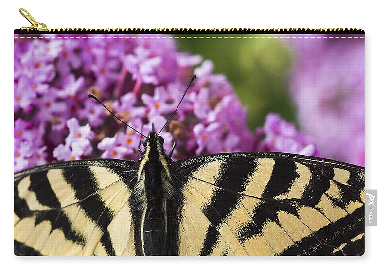 Butterflies Zip Pouch featuring the photograph Swallowtail Butterfly on Butterfly Bush by Robert Potts