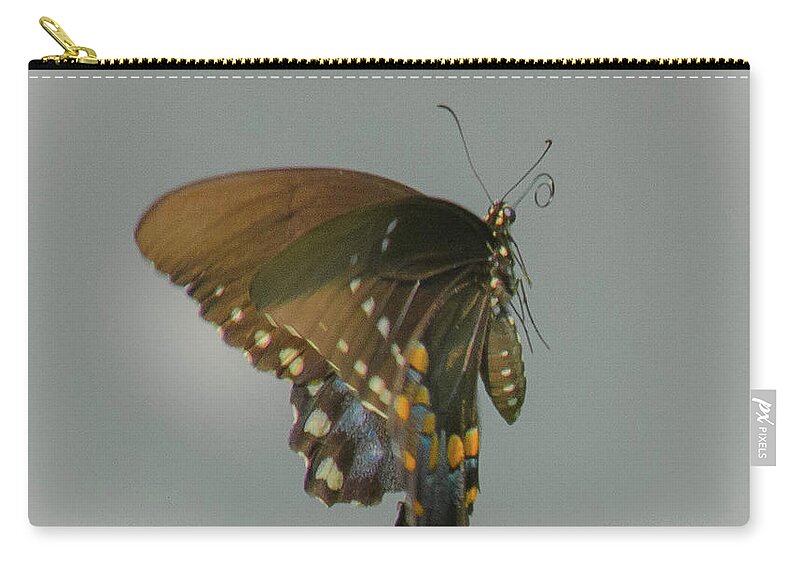 Butterfly Zip Pouch featuring the photograph Swallowtail mid air by Barry Bohn
