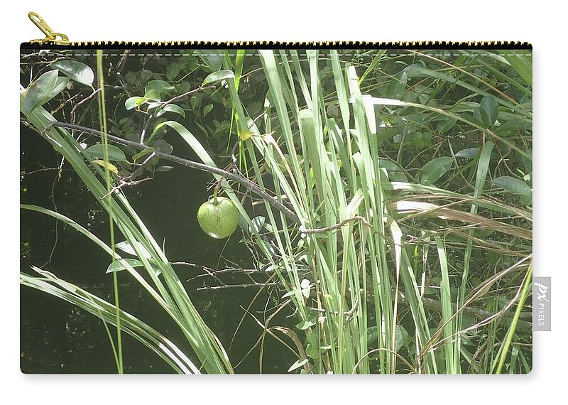 Cyprus Zip Pouch featuring the photograph Swamp Apple by Denise Cicchella