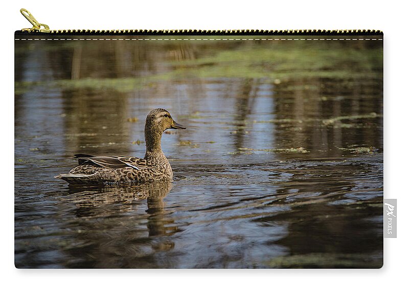 Mallard Zip Pouch featuring the photograph Swamp Lady by Ray Congrove