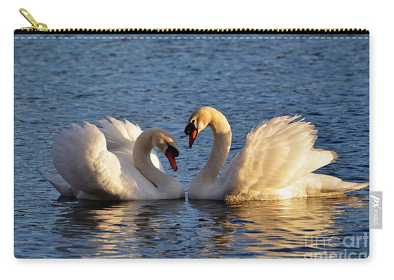 Swan Zip Pouch featuring the photograph Swan heart by Mats Silvan