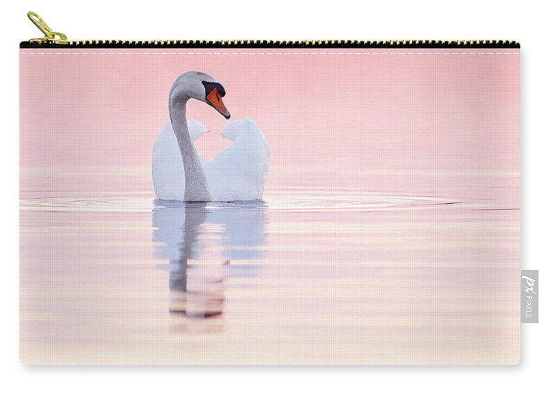Mute Swan Zip Pouch featuring the photograph Swan in Pink by Roeselien Raimond