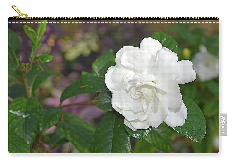 Gardenia Zip Pouch featuring the photograph Sweet Gardenia by Aimee L Maher ALM GALLERY