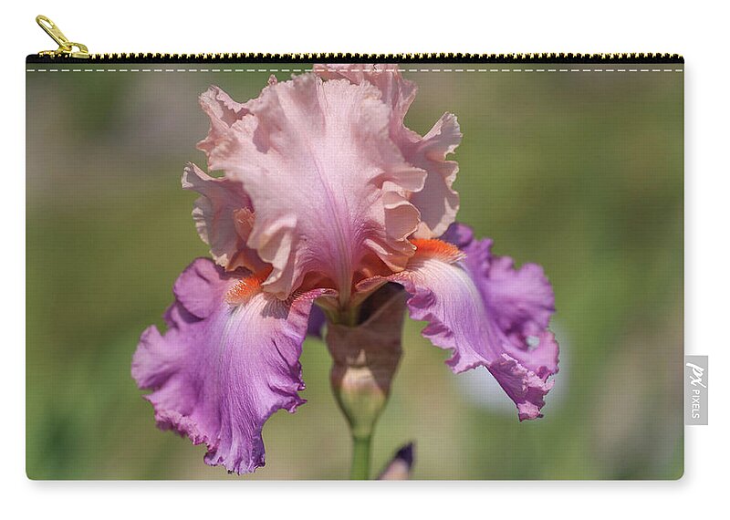 Jenny Rainbow Fine Art Photography Zip Pouch featuring the photograph Sweet Musette. The Beauty of Irises by Jenny Rainbow