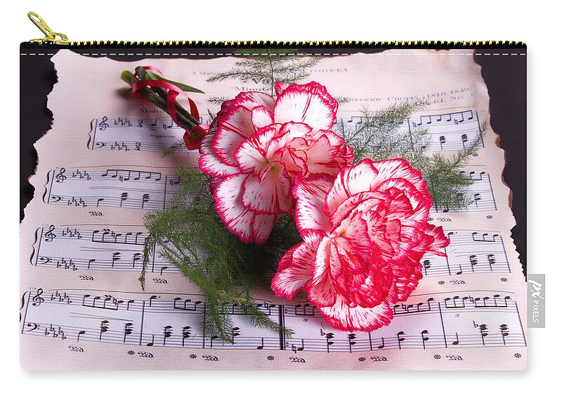 Music Zip Pouch featuring the photograph Sweet Music by TN Fairey