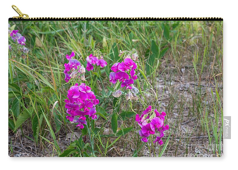Pea Zip Pouch featuring the photograph Sweet pea flowers by Les Palenik