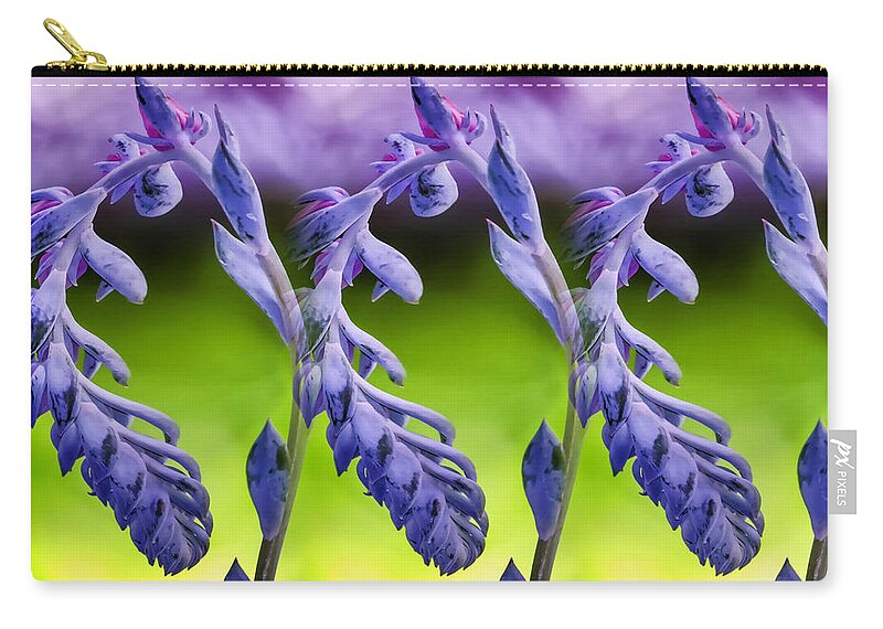 Succulent Zip Pouch featuring the photograph Succulent Swirl #1 by Lucy VanSwearingen