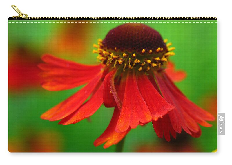 Coneflower Zip Pouch featuring the photograph Swirling Sneezeweed by Juergen Roth