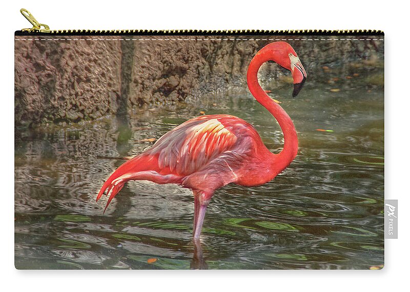 Florida Zip Pouch featuring the photograph Symbol of Florida by Hanny Heim