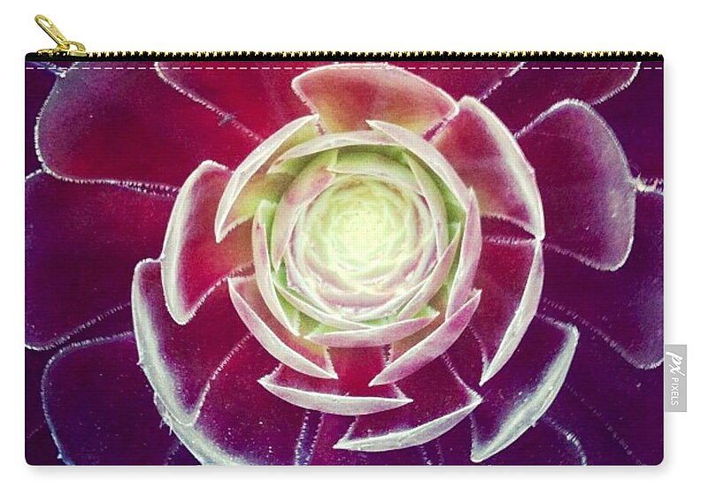 Plant Carry-all Pouch featuring the photograph Symmetry by Denise Railey