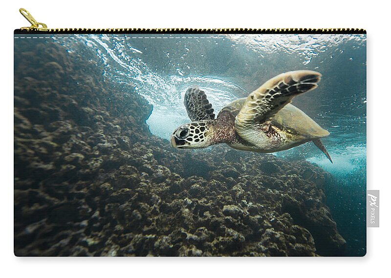 Sea Life Zip Pouch featuring the photograph T Patrol by Leonardo Dale