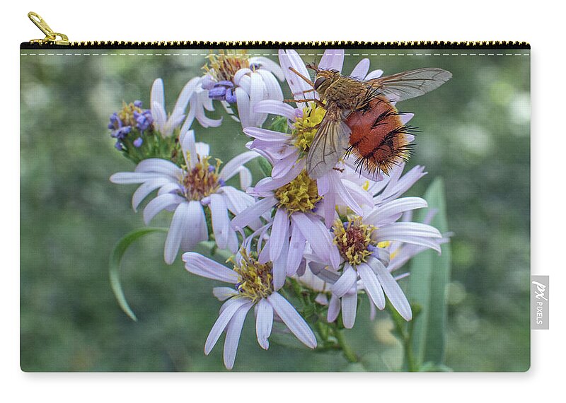 Tachinid Fly Zip Pouch featuring the photograph Tachinid Fly 8171-101817-2 by Tam Ryan