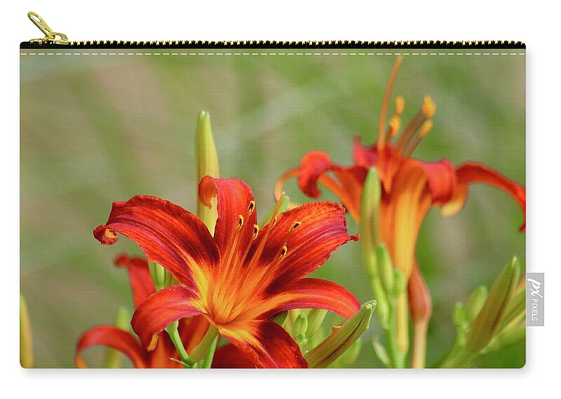 Photograph Zip Pouch featuring the photograph Take A Moment With the Red Day Lilies by M E
