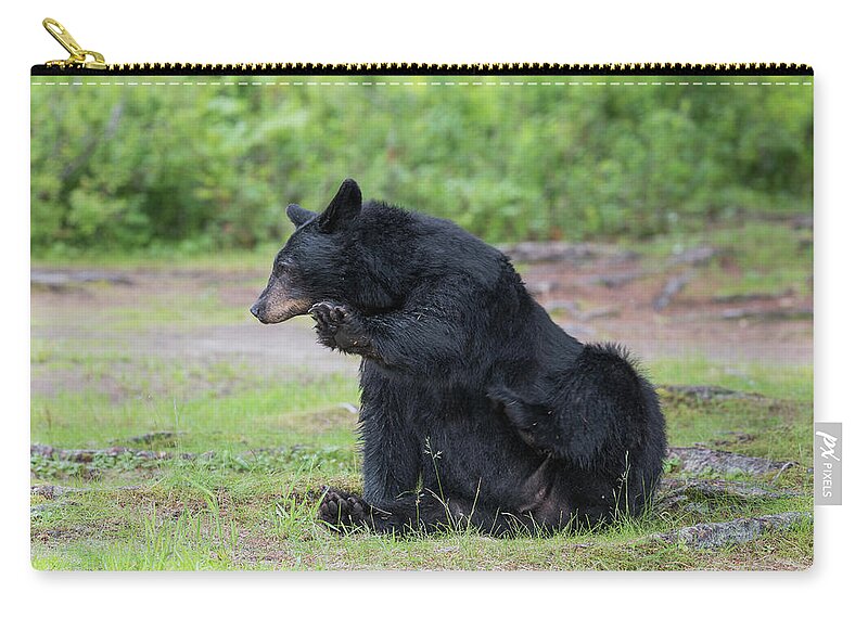 Black Bear Carry-all Pouch featuring the photograph Talk to the hand by David Kirby