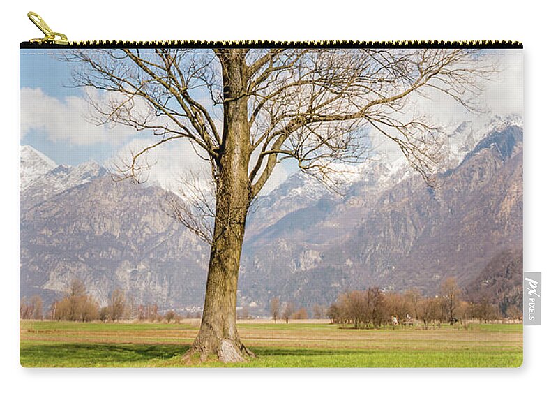 2018 Carry-all Pouch featuring the photograph Tall Tree by Pavel Melnikov
