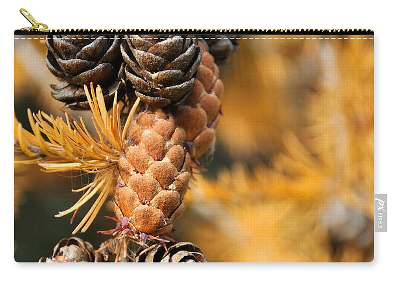 Autumn Zip Pouch featuring the photograph Tamarack Larch Tree in the Fall by Gary Whitton
