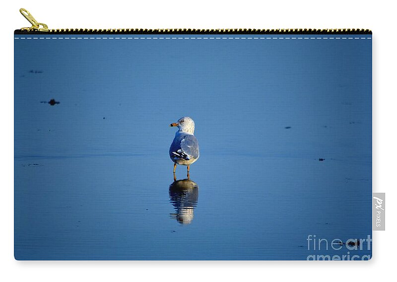 Seagull Carry-all Pouch featuring the photograph Tan Lines by Dani McEvoy