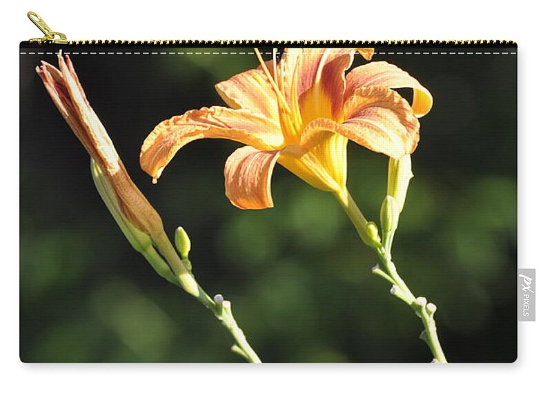 Lily Zip Pouch featuring the photograph Tasmania Day Lily by Penny Neimiller