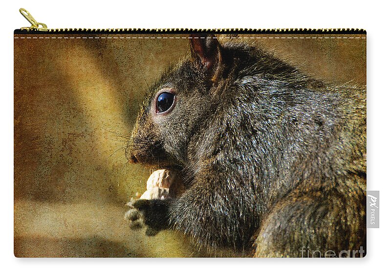 Squirrel Zip Pouch featuring the photograph Tasty Snack by Lois Bryan