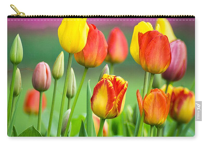 Purple Zip Pouch featuring the photograph Technicolor Tulips by Bill Pevlor