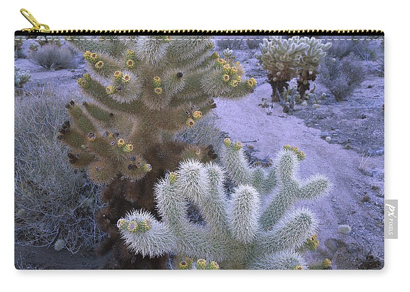 Mp Zip Pouch featuring the photograph Teddy Bear Cholla in Joshua Tree by Tim Fitzharris