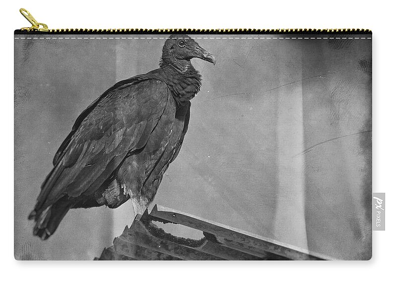 Festblues Zip Pouch featuring the photograph Tell No Tales.. by Nina Stavlund