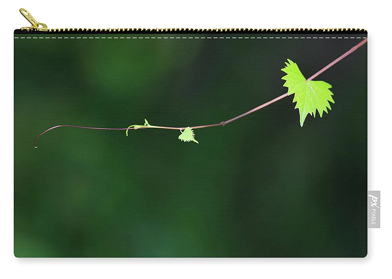 Plant Zip Pouch featuring the photograph Tendril by Mitch Spence