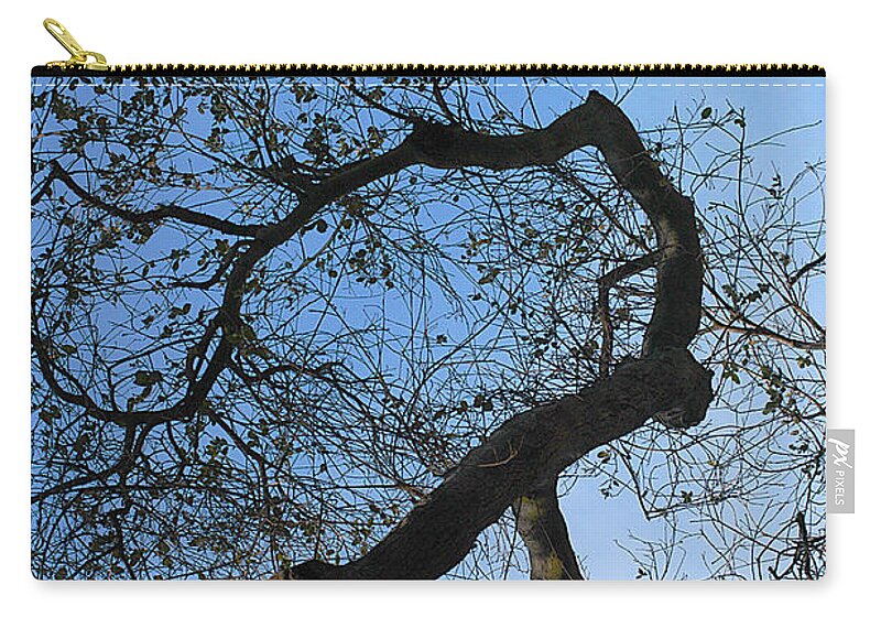 Clay Zip Pouch featuring the photograph Termite View by Clayton Bruster