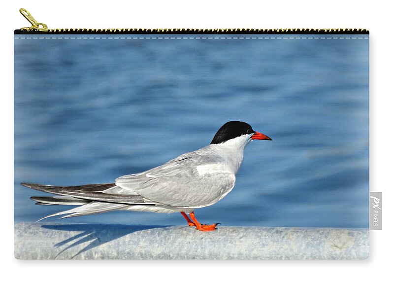 Tern Zip Pouch featuring the photograph Tern by Dark Whimsy