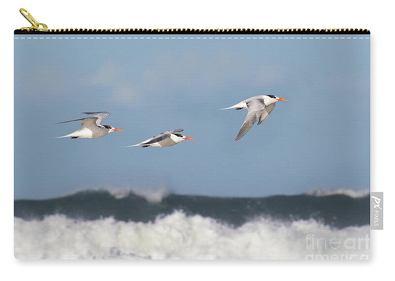 Birds Zip Pouch featuring the photograph Terns In Flight by Mimi Ditchie
