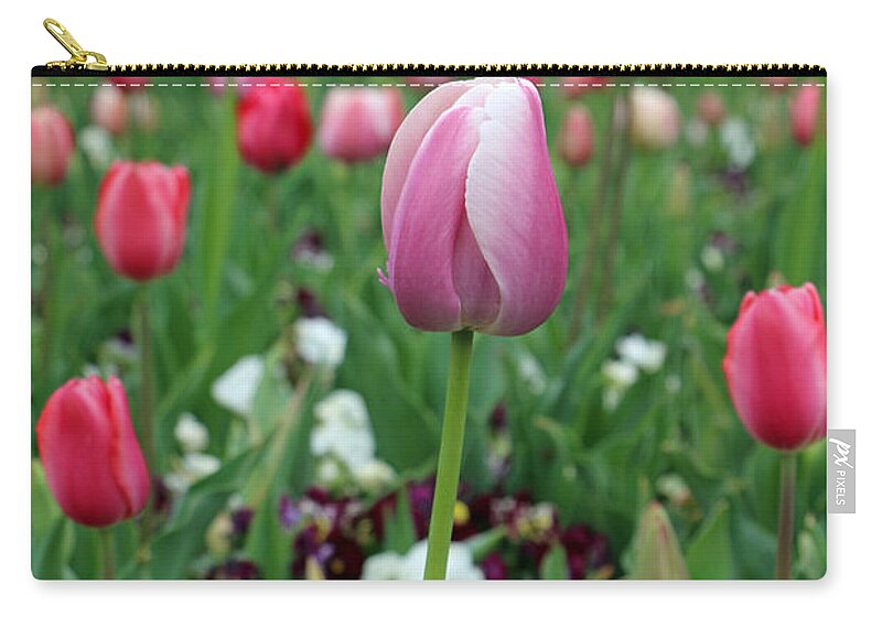 Tulip Zip Pouch featuring the photograph Texas Blooms 45 by Pamela Critchlow