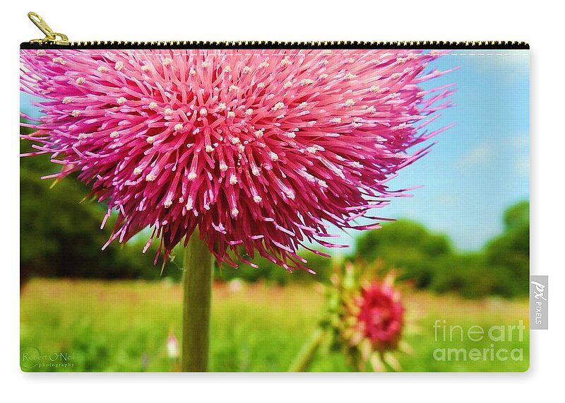 Texas Thistle Zip Pouch featuring the photograph Texas Thistle 003 by Robert ONeil