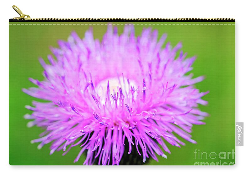 Art Zip Pouch featuring the photograph Texas Thistle by Charles Dobbs