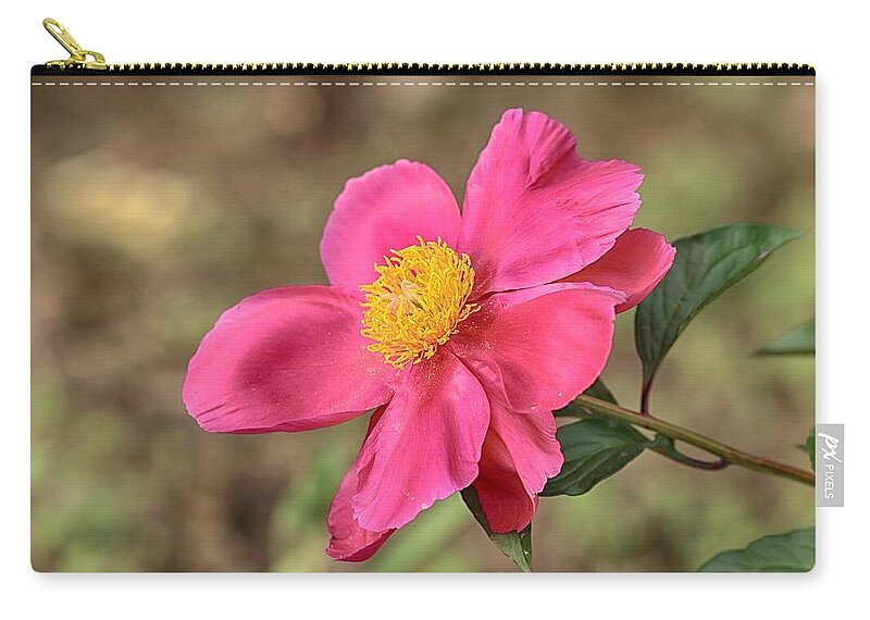 Textured Pink Peony Zip Pouch featuring the photograph Textured pink peony by Lynn Hopwood