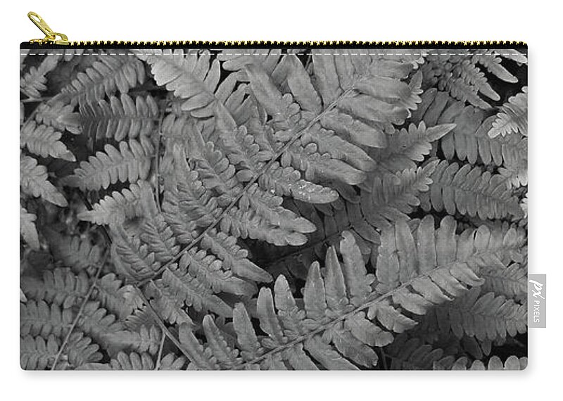 Fern Carry-all Pouch featuring the photograph Textures of the Forest by Holly Ross