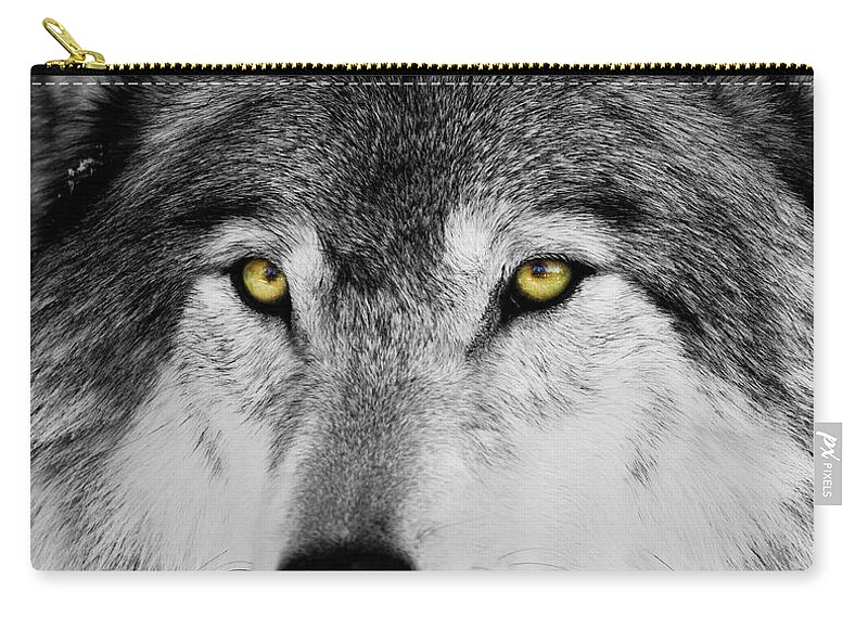 Yellow Eyed Wolf Zip Pouch featuring the photograph The Alpha Portrait by Mircea Costina Photography