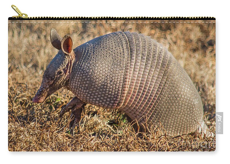 Nature Zip Pouch featuring the photograph The Nine Banded Armadillo by Barry Bohn