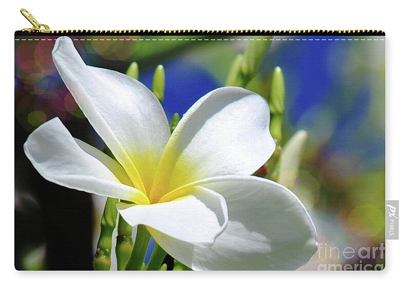 Flower Zip Pouch featuring the photograph The Beautiful Plumeria by Elaine Manley