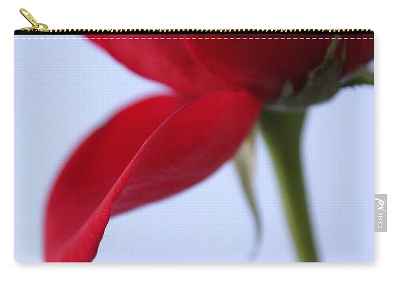 Rose Zip Pouch featuring the photograph The Beginning Of Love by Krissy Katsimbras