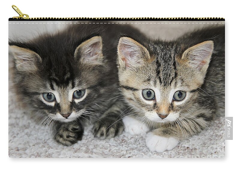 Cat Zip Pouch featuring the photograph The Best Buddies by Teresa Zieba