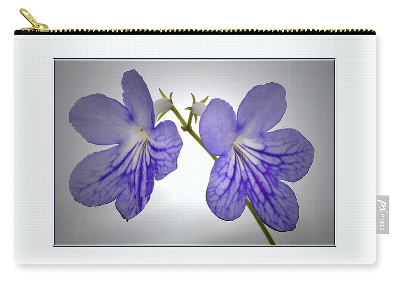 Streptocarpus Flowers Carry-all Pouch featuring the photograph The Betham Twins. by Terence Davis