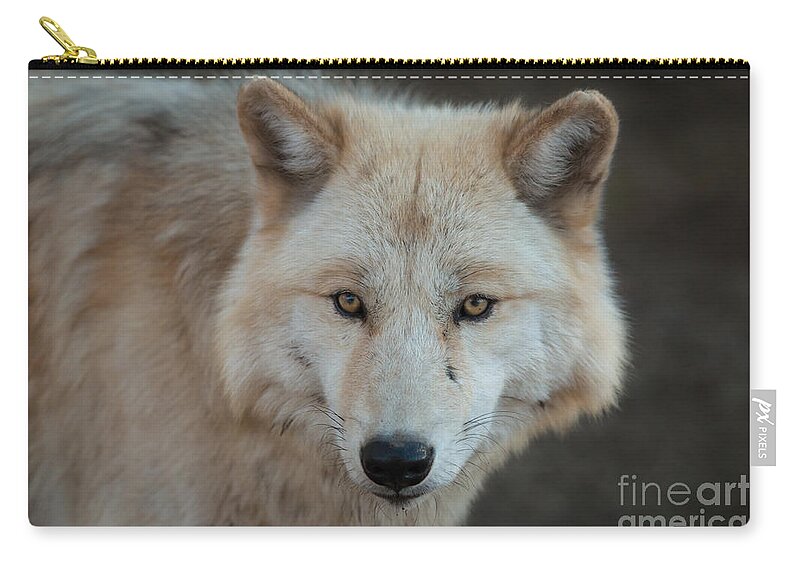 Wolf Zip Pouch featuring the photograph The Big Beautiful Wolf by Ana V Ramirez