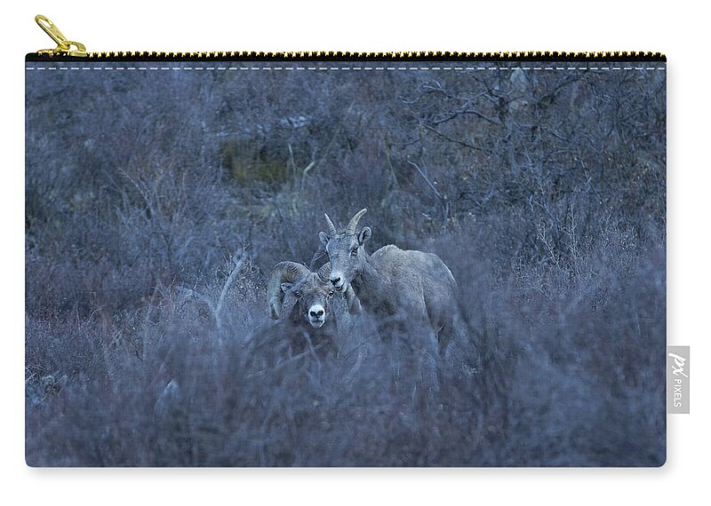 Bighorn Zip Pouch featuring the photograph The Big Horns 4 by Ernest Echols