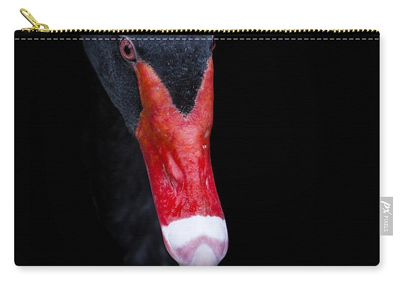 Black Swan Zip Pouch featuring the photograph The Black Swan by David Millenheft