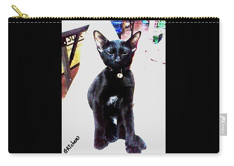 Black Cat Zip Pouch featuring the photograph Stand up, The Black Tiger by Sukalya Chearanantana